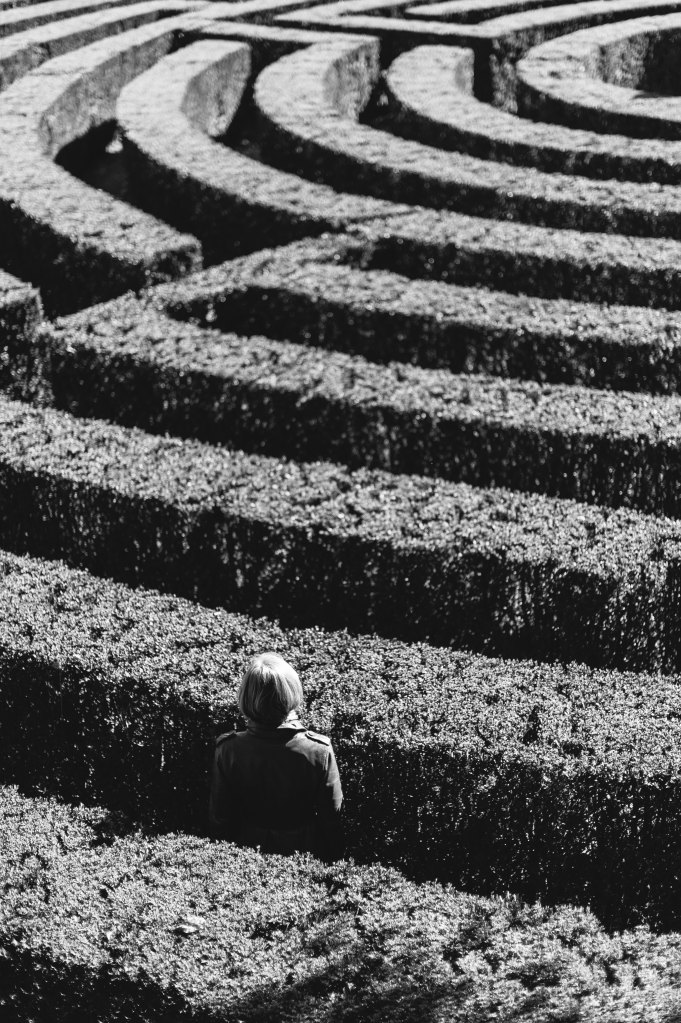 Woman looking over hedge maze